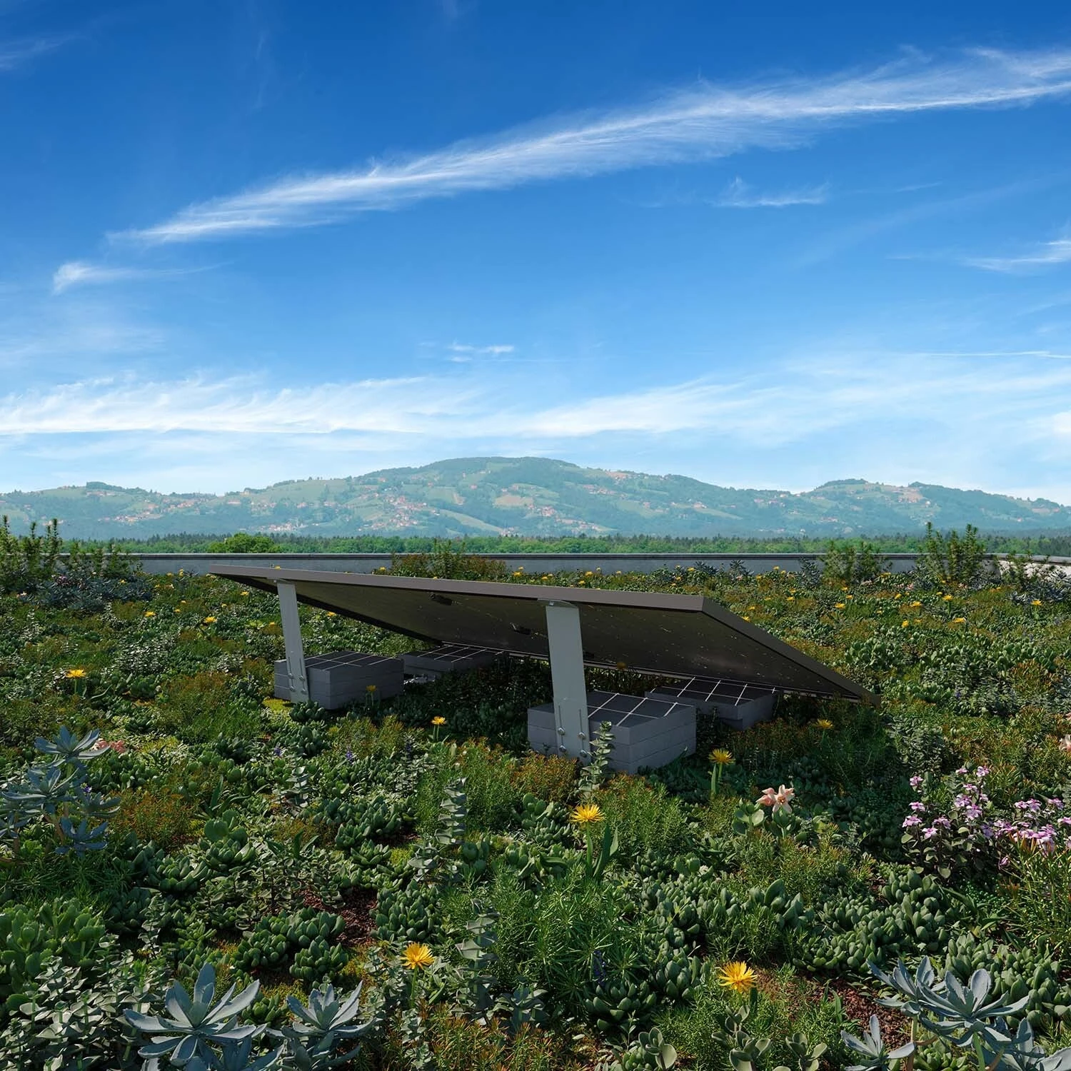 Yuma Flat (1350+) Bifazial - Image 2