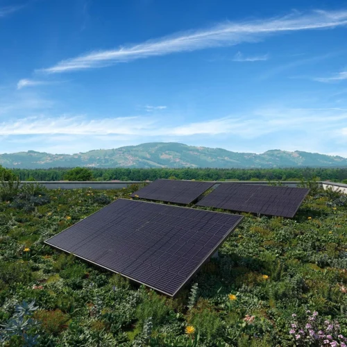 Yuma Flat (1500+) Bifazial