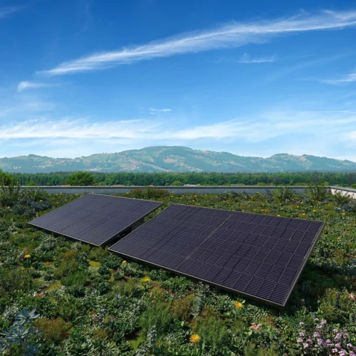 Yuma Flat (1000+) Bifazial