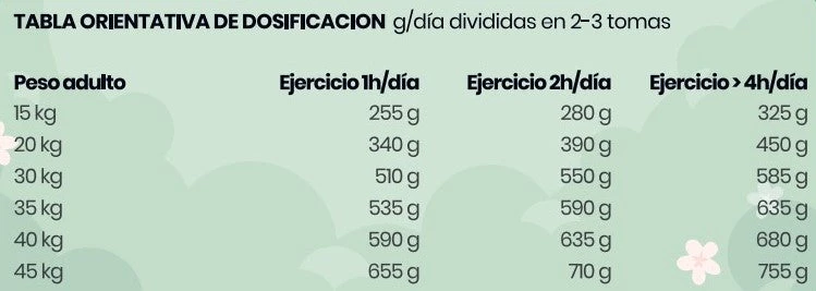 Nakama Salm贸n Fresco - Image 4